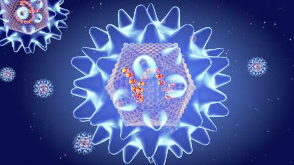 Hantavirus: An Infected Person on a Cruise Ship, and Five More Cases&hellip;