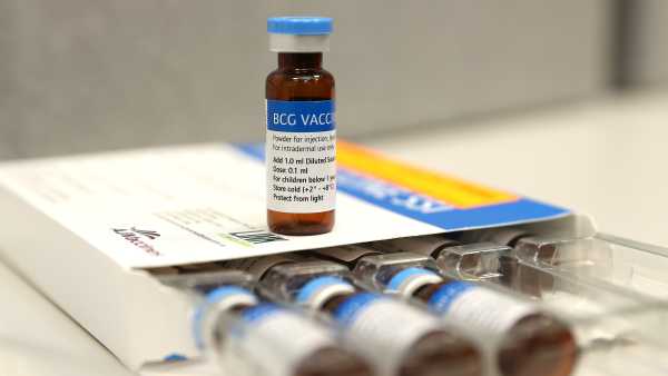 El bacilo de Calmette-Guérin (BCG), la vacuna centenaria contra la tuberculosis, podría…