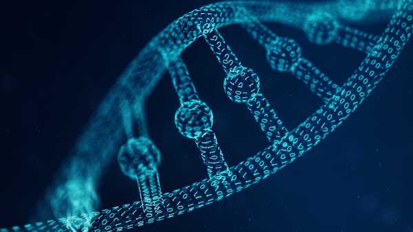 Scientists achieve a first by translating a complete viral genome for quantum&hellip;