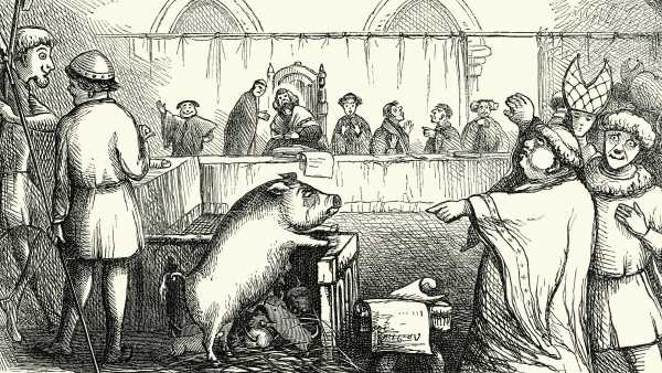 Animaux étaient emprisonnés dans des geôles où les humains étaient détenus :&hellip;