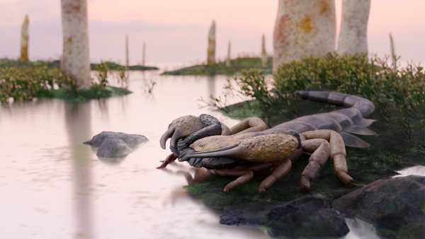 World’s biggest scorpion sported 6-inch claws, and roamed UK territories and seas…