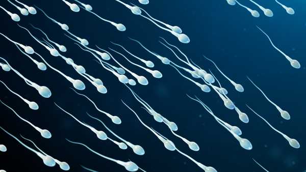 Diagnostic challenge: A woman’s inability to conceive might stem from a peculiar&hellip;