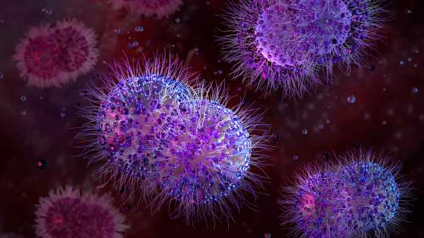 Dès qu’un diagnostic est posé, le traitement antibiotique peut être&hellip;
